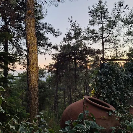 Paradise Peek, Villa Plátres