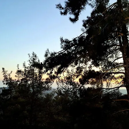 Vila Paradise Peek, *