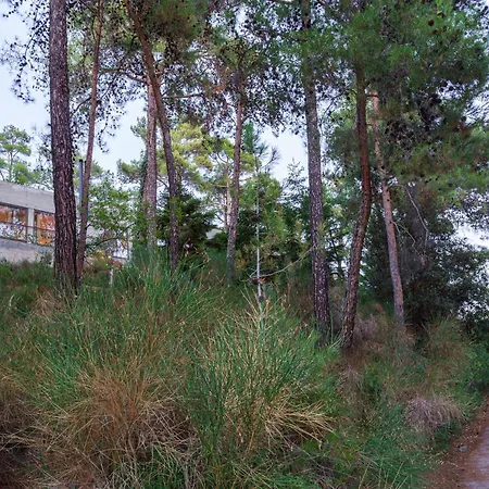 וילה Paradise Peek, *